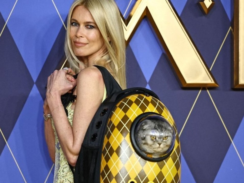 Claudia schiffer: dieser auftritt sorgt für erboste katzen-besitzer