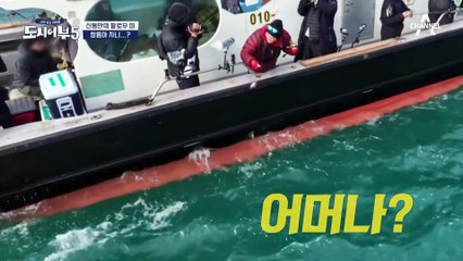 "세상이 날 억까해ㅋㅋㅋ" 7시간 만에 잡은 쁘띠 참돔♥