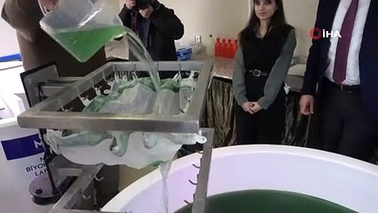 Burdur'da geliştirildi, kendisi küçük, faydası büyük besin kaynağı: 100 gramı 1500 TL!