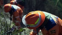 Colômbia sofre com incêndios florestais