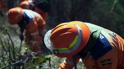 Colômbia sofre com incêndios florestais