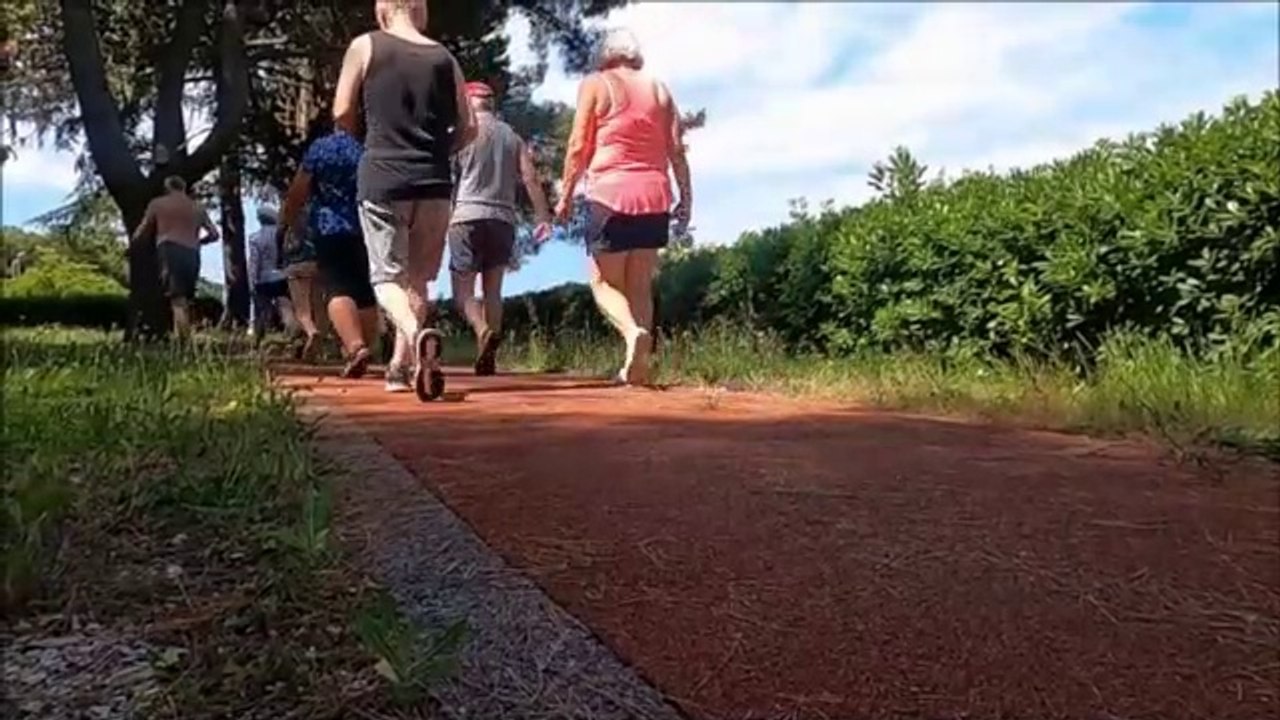 Walking - Discover the benefits of walking for your body.