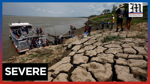 Human-induced global warming seen as cause of Amazon drought in 2023