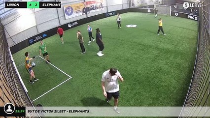 But de Victor Zilbet - ELEPHANTS