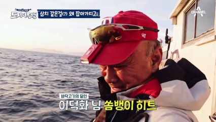 [#도시어부5] 방어 아니면 쳐다도 안 보는 매정한 사람들...동현이 잡은 대물 삼치의 기록은?