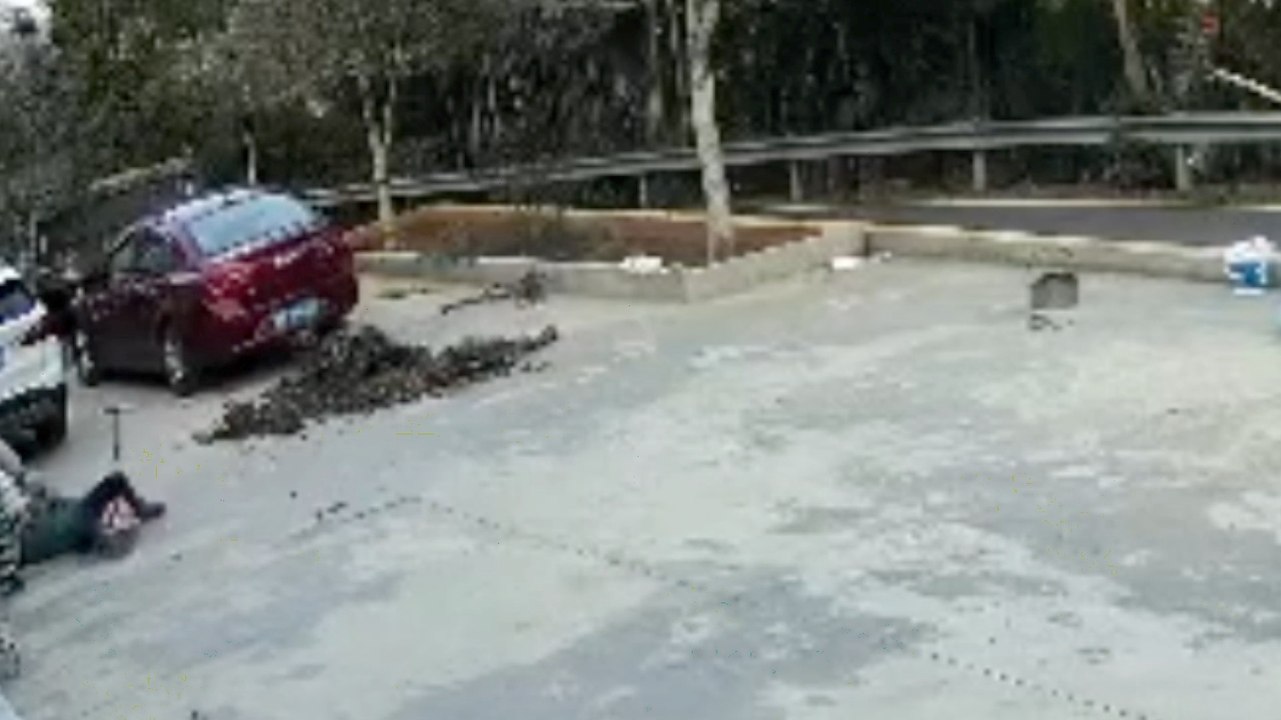 Heroic Aunt Catches Runaway Walker With Baby In...