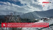 Karla kaplanan Yüksekova Dilimli Barajı görüntüsüyle hayran bıraktı