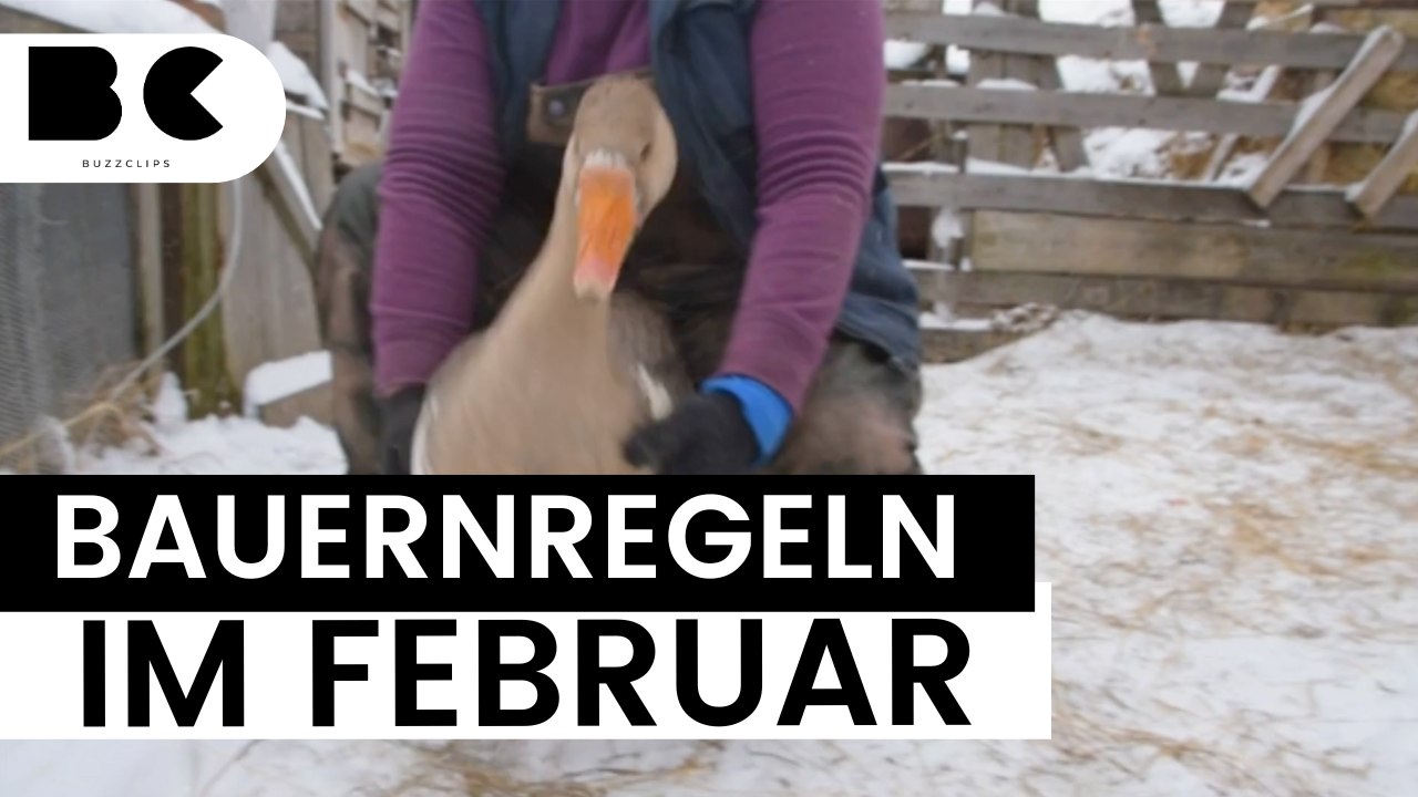 Das sagen die bauernregeln im februar