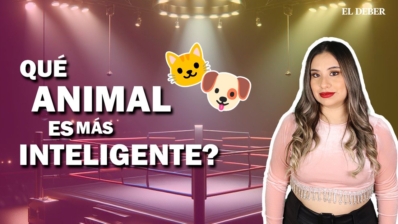 Duelo de campeones