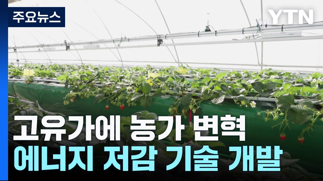 시설원예, 에너지 저감 기술로 고유가 파고 넘는다 / YTN
