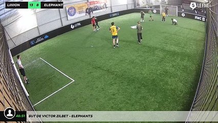 But de Victor Zilbet - ELEPHANTS