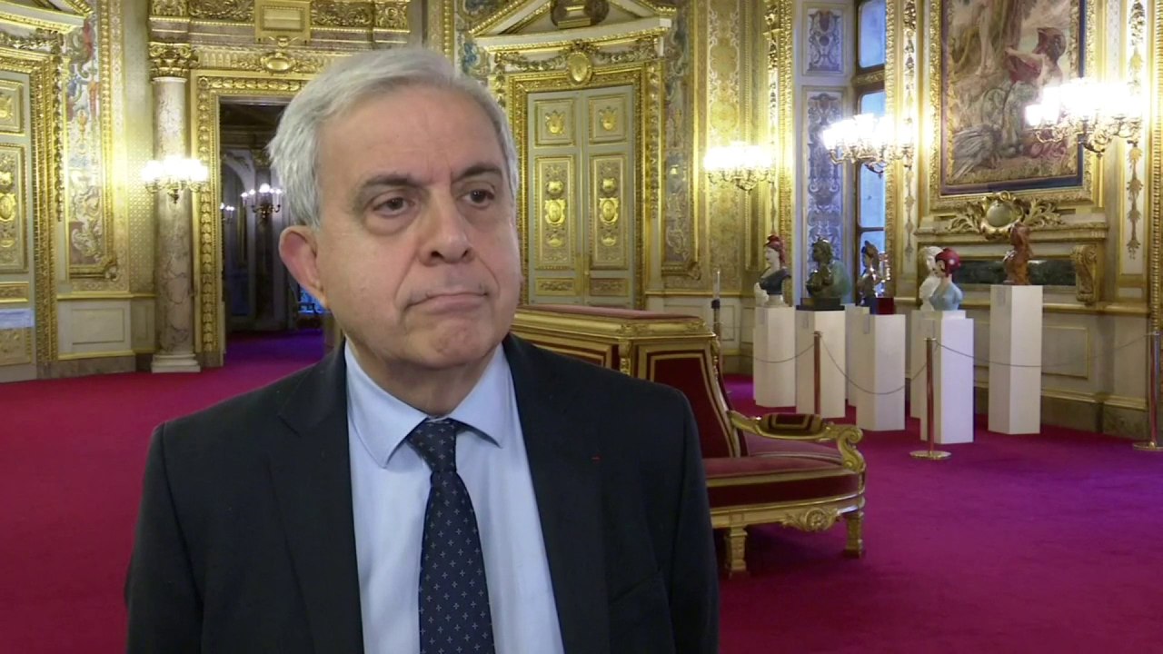 Censure de la loi immigration: R. Karoutchi appelle le gouvernement à une réforme constitutionnelle