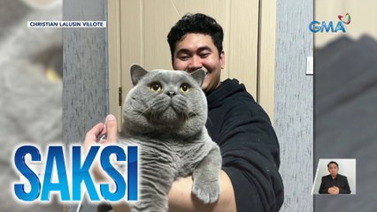 Hebigat na pusang mahigit 8kg ang timbang, busog sa pagmamahal | Saksi