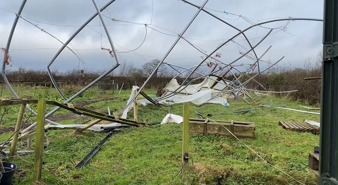 Storm Isha causes extensive damage at Jubilee Farm
