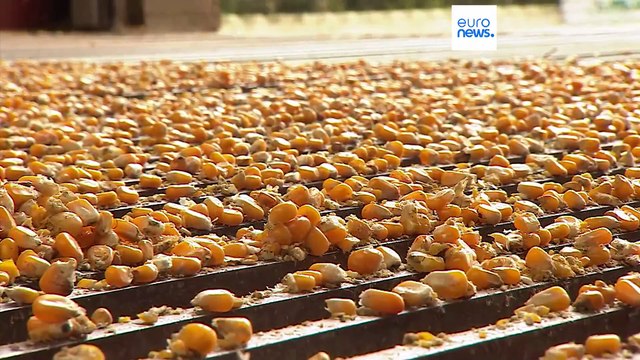 Еврокомиссия задумалась о будущем сельского хозяйства