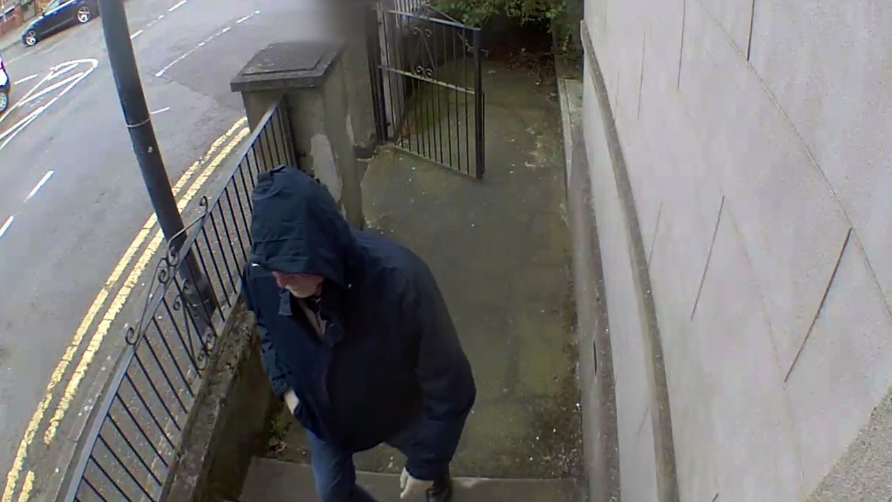 Alyson Nelson murder CCTV
