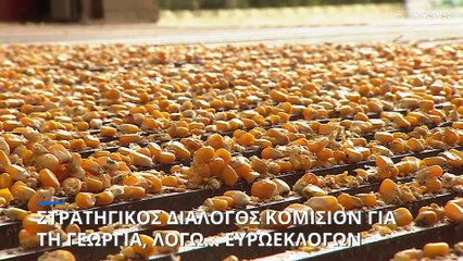 Στρατηγικός διάλογος της Κομισιόν για τη γεωργία ενόψει... ευρωεκλογών