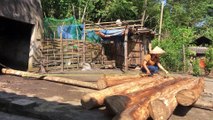 Cut down trees and frame houses - Building wooden house - part 1- rural life - Phùng Thị Phương