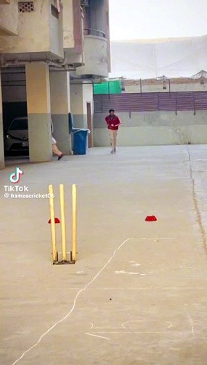 Check swing