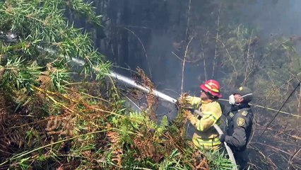 Colombia pide ayuda a la ONU ante "desastre natural" por incendios forestales