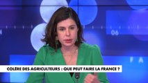 Charlotte d’Ornellas : «C'est le modèle agricole avec des normes moindres que les nôtres qui est encouragé»