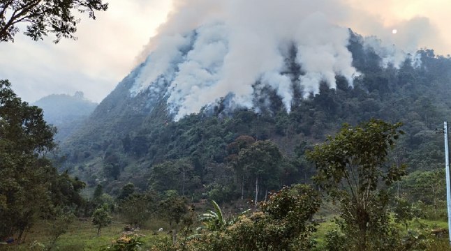 Entidades del Gobierno para la atención de emergencias que tuvieron recortes en sus presupuestos