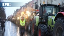 Segundo día de protestas de los agricultores lituanos en demanda de mejores precios