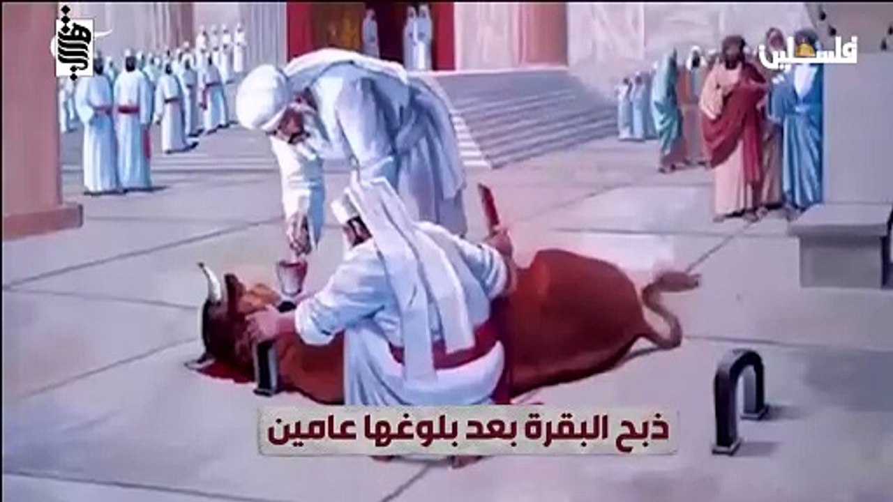 تحدث عنها أبو عبيدة في خطابٍ له.. ما علاقة البقرة الحمراء بمخطط هدم المسجد الأقصى؟