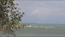 surfing roca cahuita highlights big waves 2024