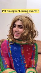 Pet dialogue During Exam - Funny Memes ❤️