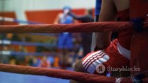 Gloved Glory Online: Virtual Boxing Showdown
