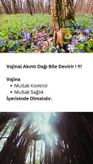 Vajinal Akıntı Kadın Bedenindeki İnflamasyonun Ana kaynağıdır - Muğla Kadın Doğum
