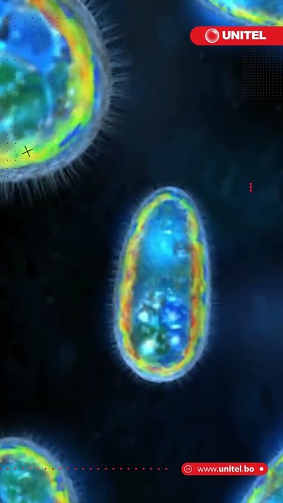 El cambio climático tiene en alerta a los científicos debido a que trae amenazas, que, aunque parecen desapercibidas ya comienzan a preocupar, es el caso de virus hallados en el Ártico, microorganismos capaces de resistir miles de años congelados