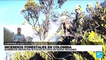 Informe desde Bogotá: Cerros Orientales arden bajo los incendios forestales en Colombia