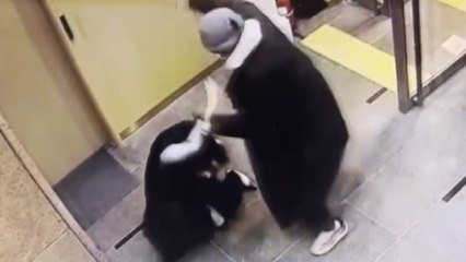 배현진 의원 둔기에 피습...10대 괴한 체포 / YTN