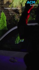 Sydney woman found with $50,225 worth of allegedly stolen designer jewelry