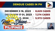 DOH: kaso ng dengue sa Pilipinas, bumaba