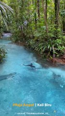 Keindahan Kali Biru Raja Ampat Di Papua Nih!!