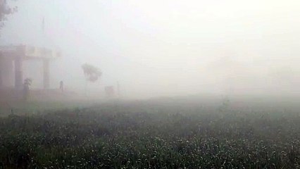 जयपुर जिले में आज कई जगह घना कोहरा