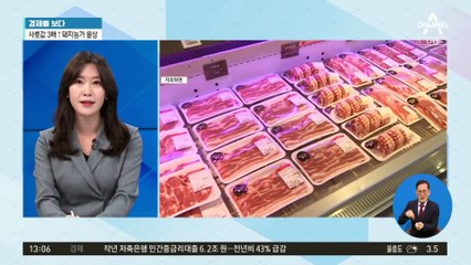 [경제를 보다]사룟값 3배 ↑…돼지농가 울상
