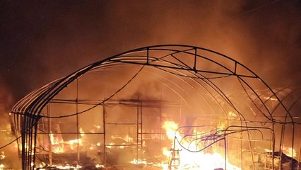 경북 상주 농가 비닐하우스에 불...취나물 400kg 불타 / YTN