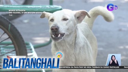 Batang isang taong gulang, namatay dahil umano sa rabies | BT