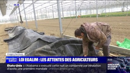 Download Video: Pourquoi la loi Egalim, qui doit garantir une juste rémunération aux agriculteurs, ne suffit pas