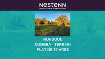A vendre Terrain viabilisé à Nondoué, proche Nouméa : Votre Projet Immobilier Parfait chez Nestenn Nouméa