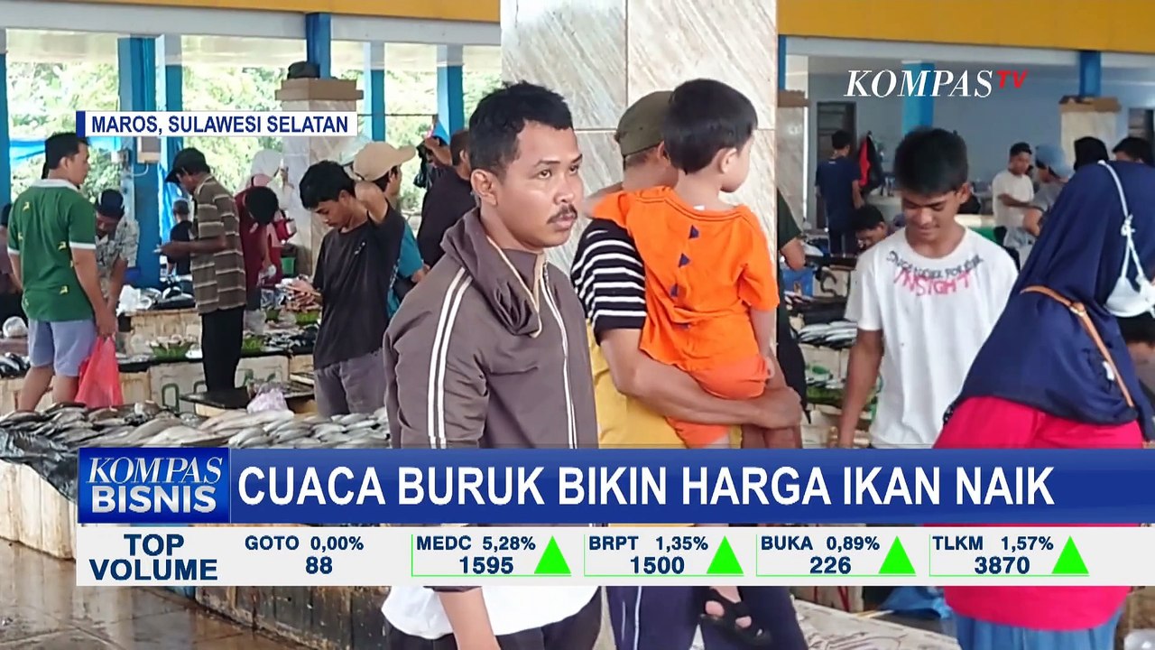 Harga Ikan Naik Imbas Cuaca Buruk, Ikan Pari Tembus 400.000 Ribu per Ekor!