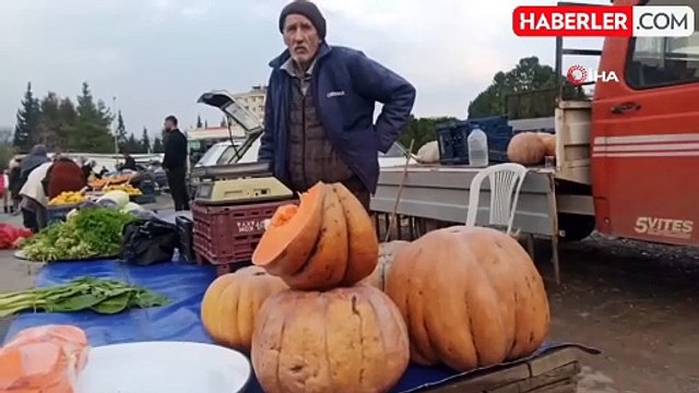 Yaşına aldırış etmiyor... 71 yaşındaki amca bal kabağı satarak geçimini sağlıyor