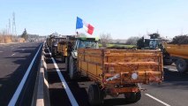 Los agricultores españoles exigen protección ante los disturbios en Francia: 