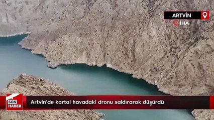Artvin’de kartal havadaki dronu saldırarak düşürdü