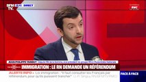 Loi immigration: Jean-Philippe Tanguy (RN) dénonce 