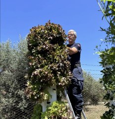 من الزنزانة إلى الحقل.. أملٌ جديدٌ في سجون البرتغال